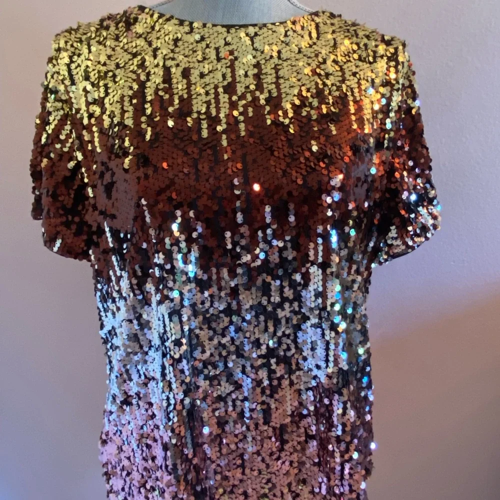 NEW! Anthro! Eva Franco Metallic Ombré Sequin Tshirt NWT Anthro msrp $118 - Picture 1 of 8